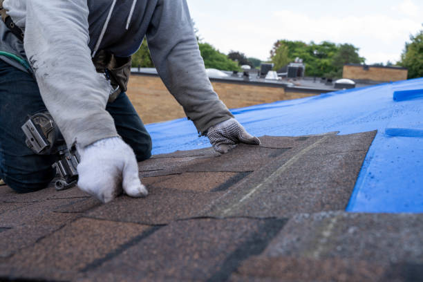 Residential Roof Replacement in Inniswold, LA